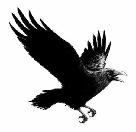 Тату ворон