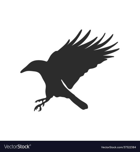Силуэт ворона
