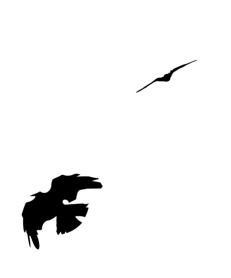 Силуэт птиц