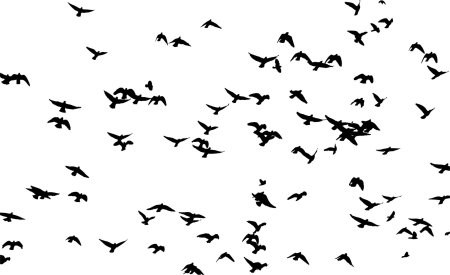 Силуэт птиц