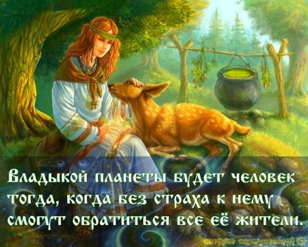 Берегини славянская мифология