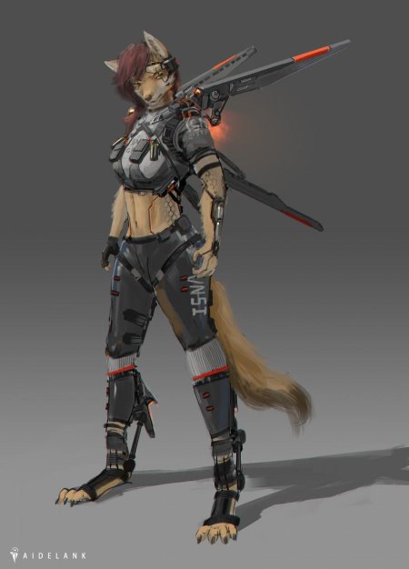 Фурри милитари