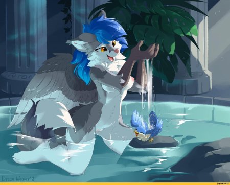 Фурри птица