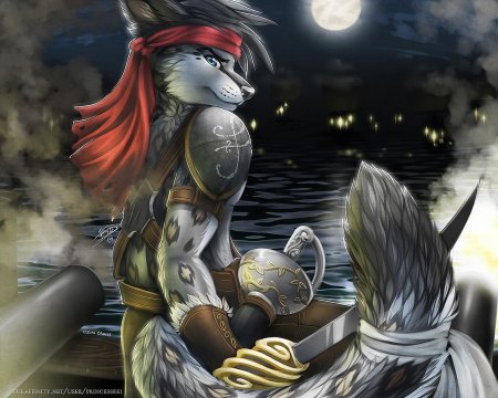 Фурри лиса пират