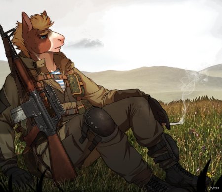 Фурри военные