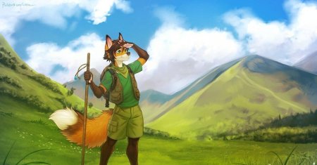 Лиса фурри арт