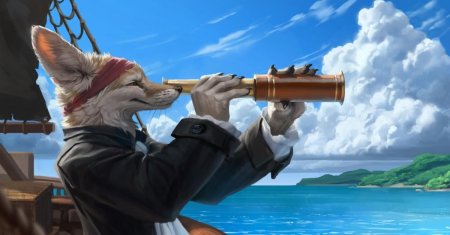 Фурри лис пират