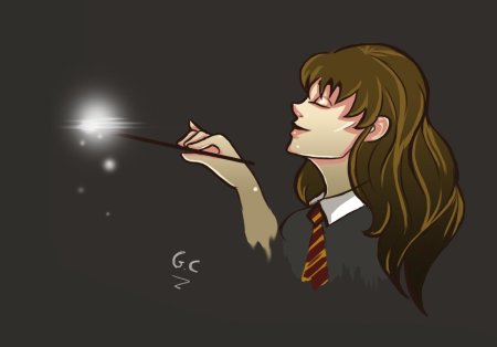 Harry potter hermione granger