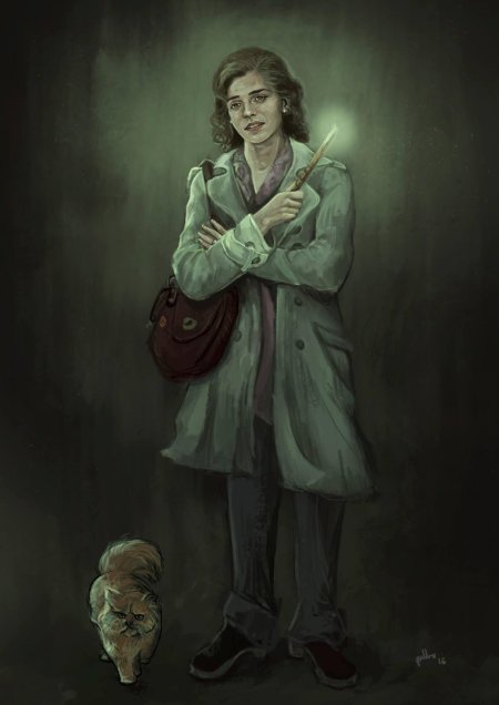 Гарри поттера и гермиона гренджер