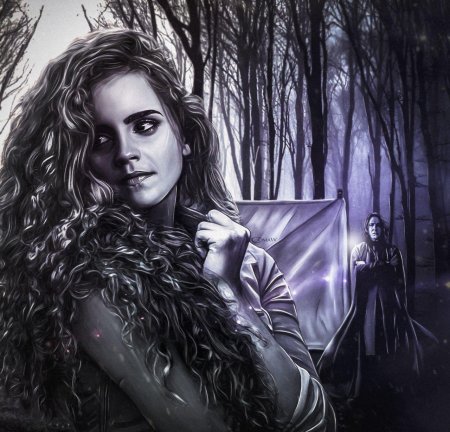 Гарри поттер гермиона грейнджер