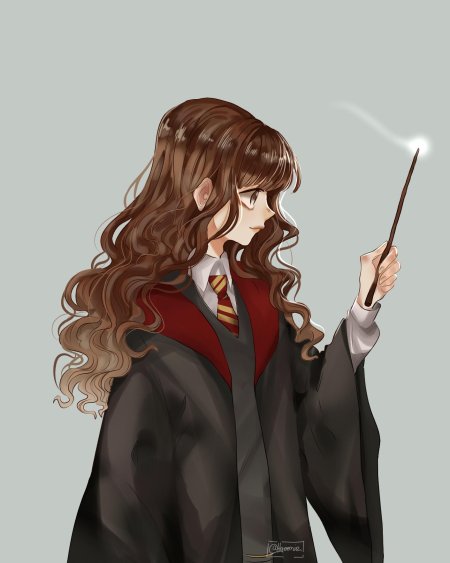 Harry potter hermione granger