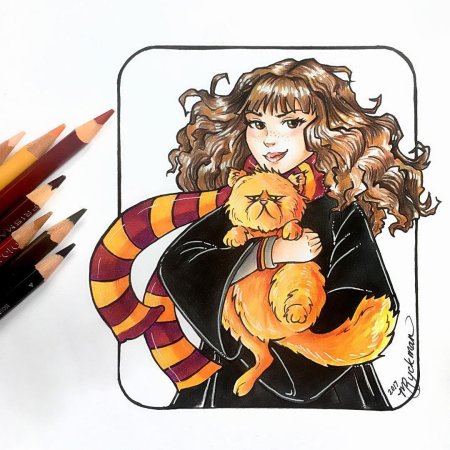 Скетчбук гарри поттер гермиона