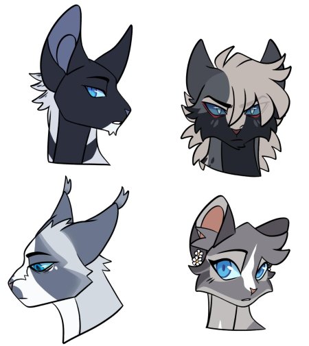 Коты воители знамение звезд