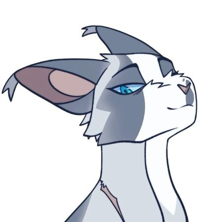 Ivypool коты воители
