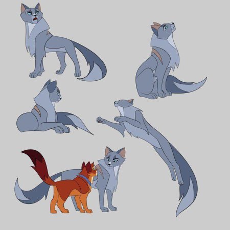 Коты воители невидимая звезда