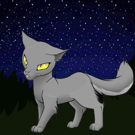 Коты воители тучезвезд