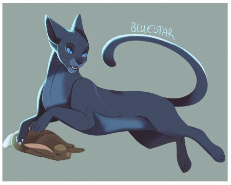 Синяя звезда коты воители