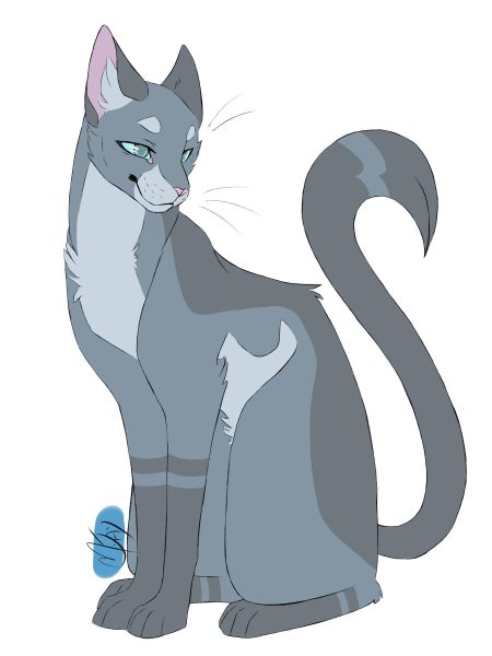 Невидимая звезда коты воители