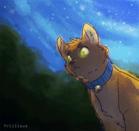 Коты воители огнезвёзд и синяя звезда