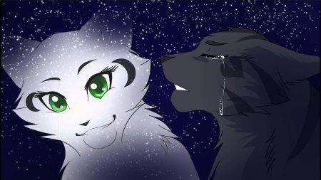 Коты воители синяя звезда и белогривка