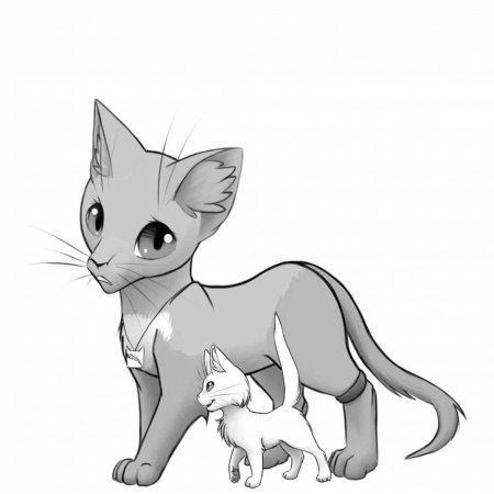 Коты воители для срисовки