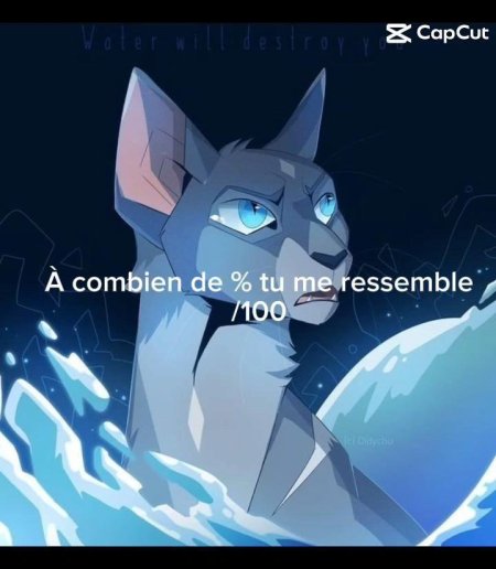 Синяя звезда коты воители