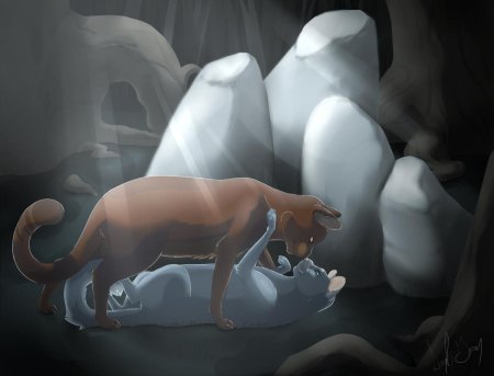 Коты воители синяя звезда и желудь спаривание