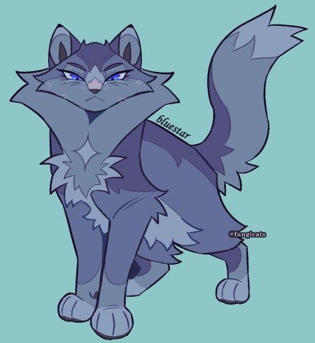 Невидимая звезда коты воители