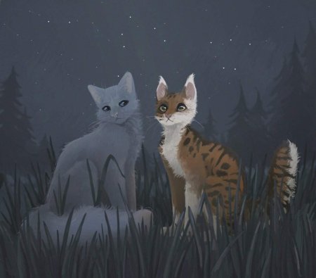 Коты воители синяя звезда