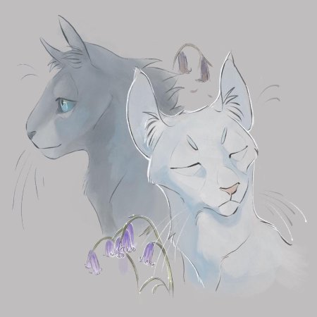 Коты воители синяя звезда и белогривка