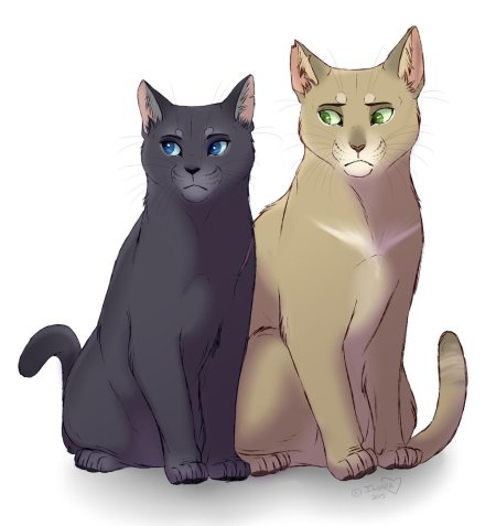 Дроздовик коты воители