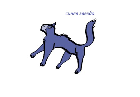 Синяя звезда коты воители