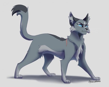 Синяя звезда коты воители