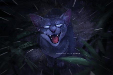 Коты воители синяя звезда