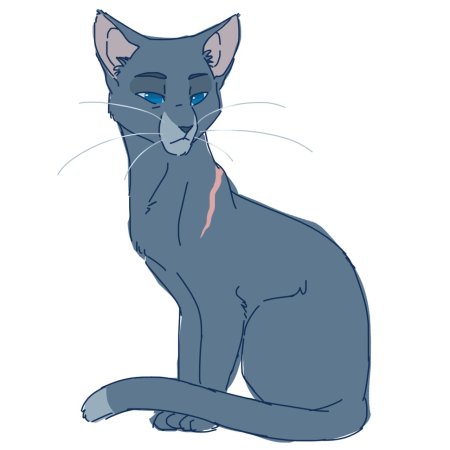 Коты воители синяя звезда