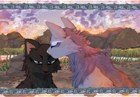 Невидимая звезда коты воители