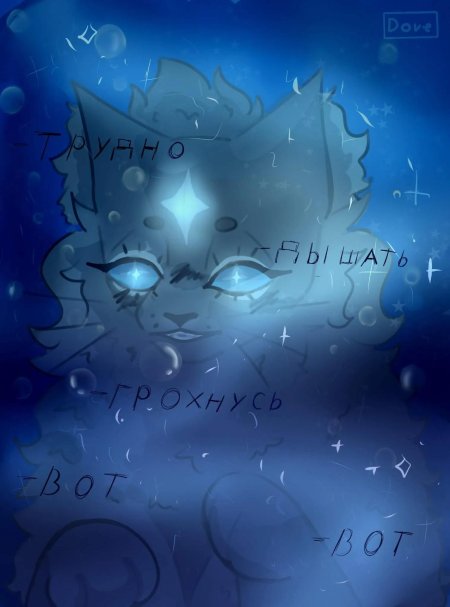 Коты воители синяя звезда