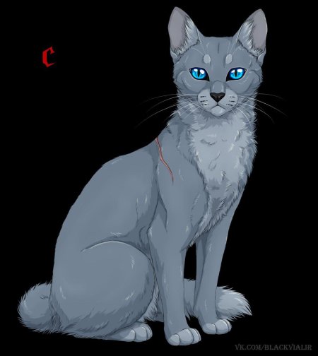 Коты воители синяя звезда