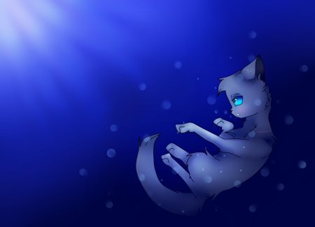 Коты воители синяя звезда