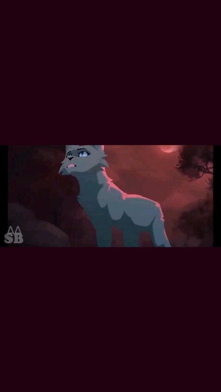 Коты воители синяя звезда