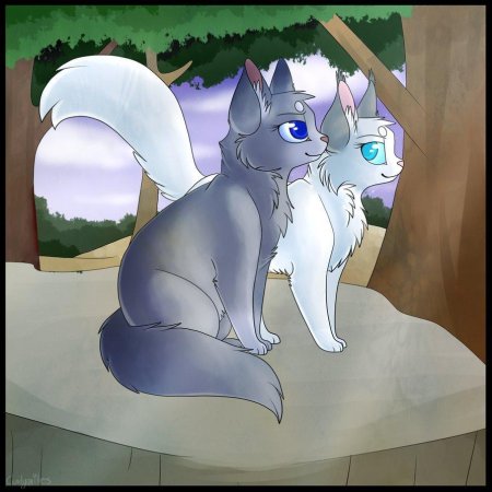 Коты воители синяя звезда и белогривка