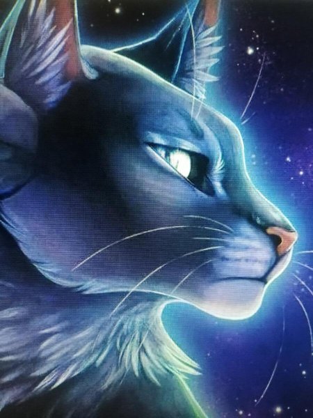 Коты воители синяя звезда