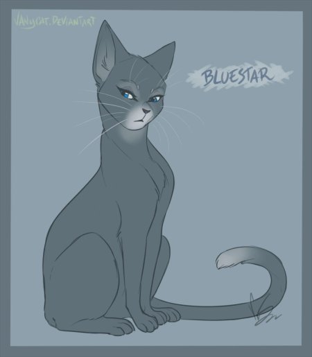 Синяя звезда коты воители