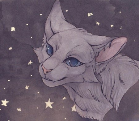 Синяя звезда коты воители