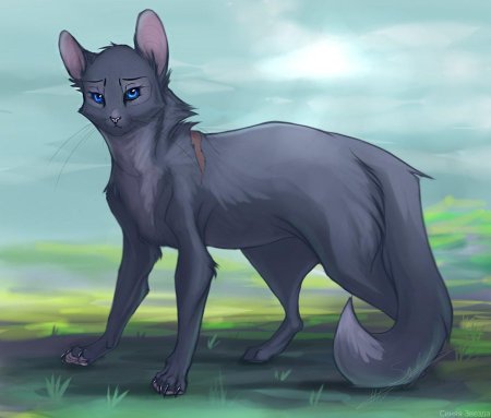 Синяя звезда коты воители