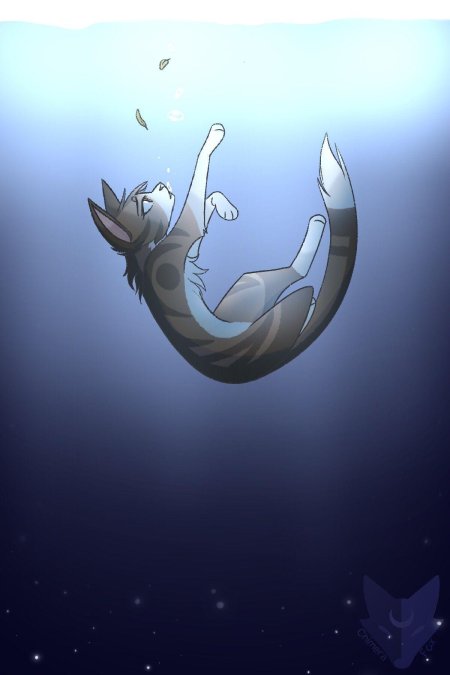 Коты воители смерть огнехвоста