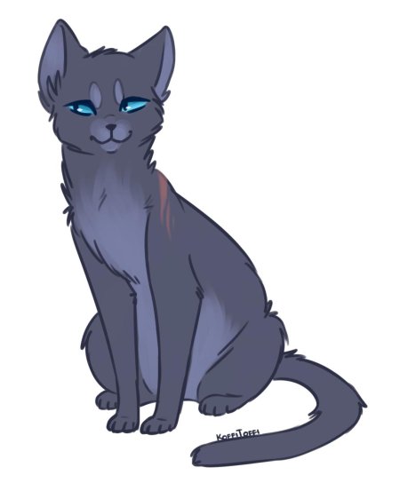 Невидимая звезда коты воители