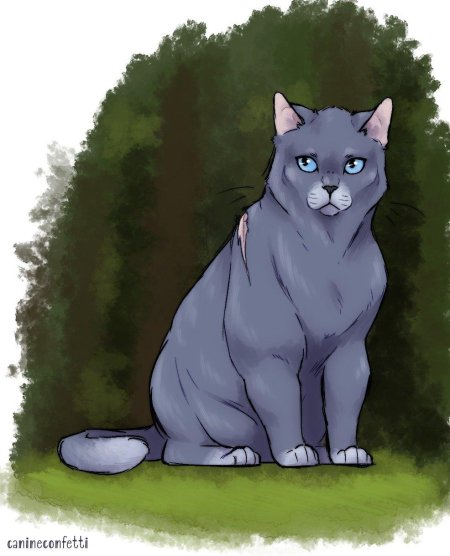 Синяя звезда коты воители