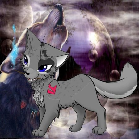 Аватар мейкер коты воители