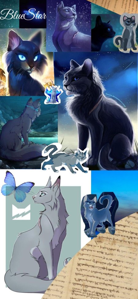 Коты воители синяя звезда